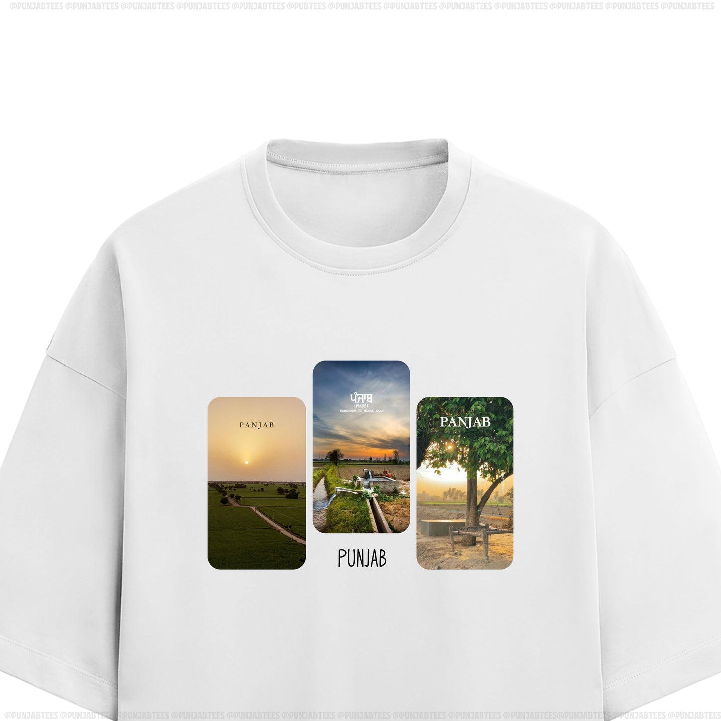 Punjab Aesthetic: Ultra-soft and Premium Tee