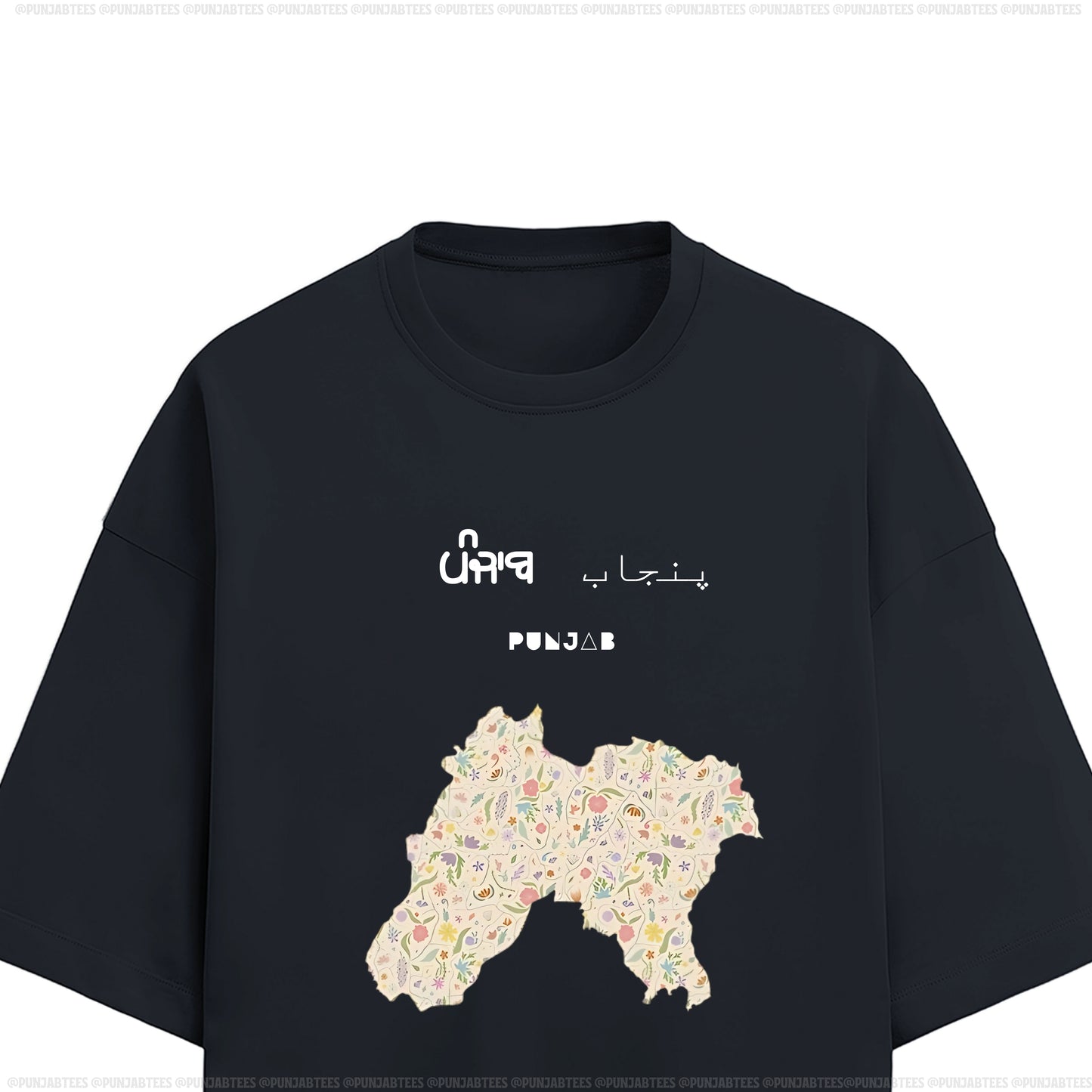 ਪੰਜਾਬ پنجاب PUNJAB: Ultra-soft & Premium Tee