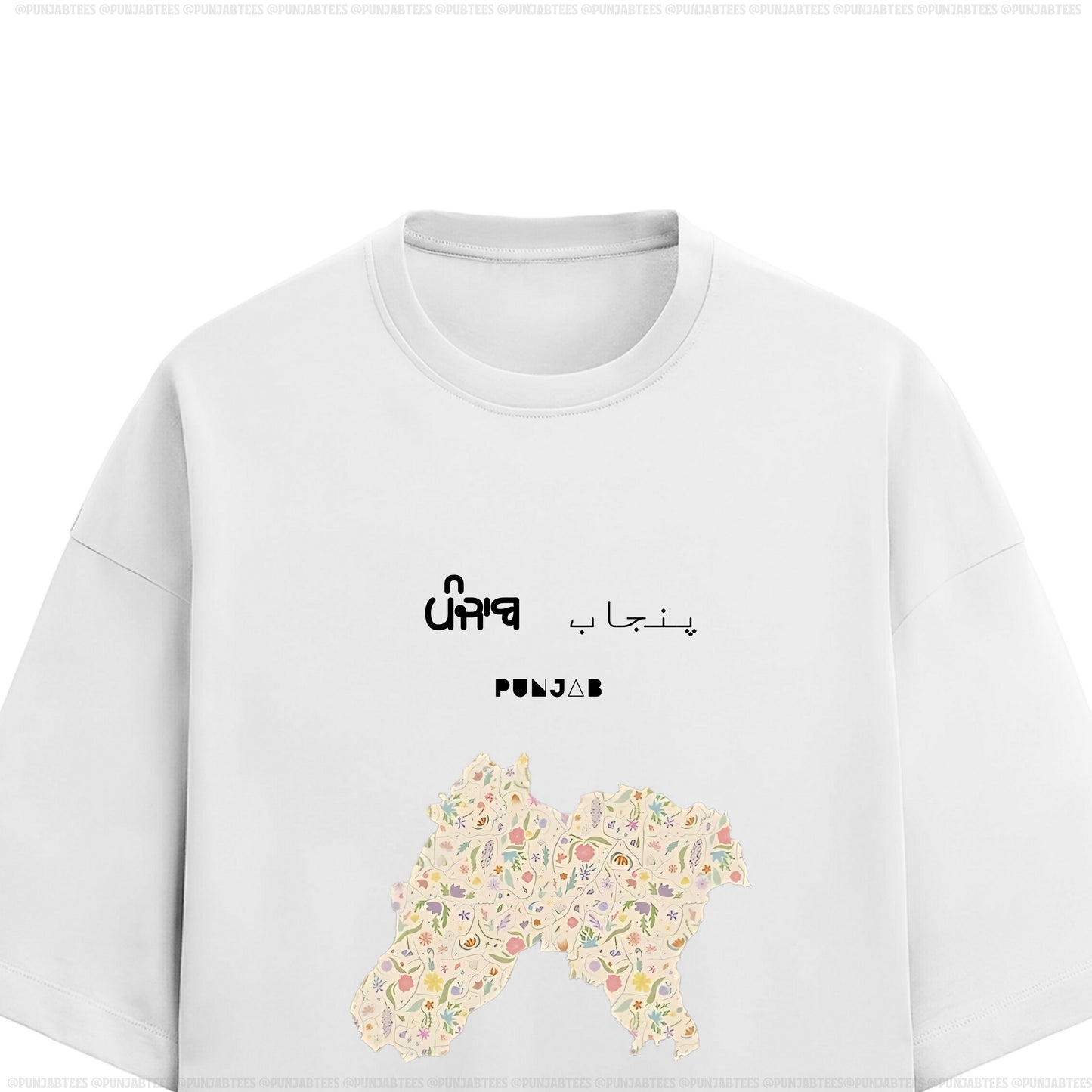 ਪੰਜਾਬ پنجاب PUNJAB: Ultra-soft & Premium Tee