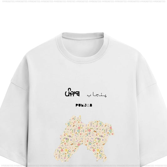 ਪੰਜਾਬ پنجاب PUNJAB: Ultra-soft & Premium Tee