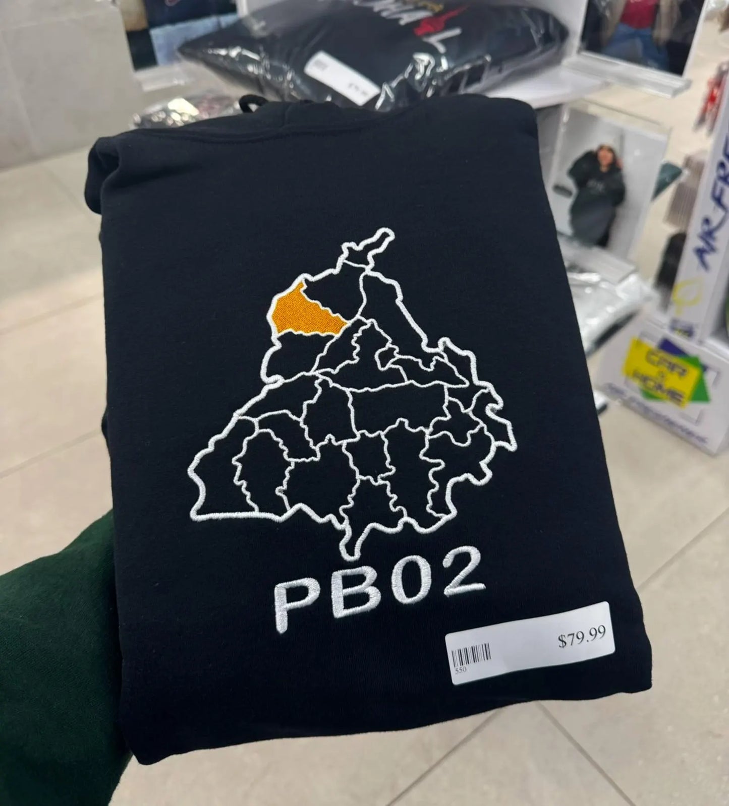 Custom District Embroidered Hoodie & Sweatshirt: Punjab State Map Series