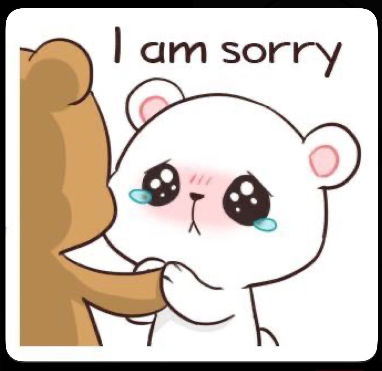 I Am sorry Embroidery Tshirt