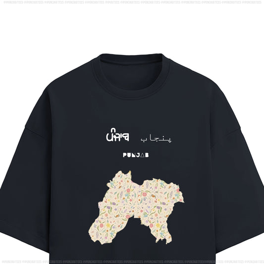 ਪੰਜਾਬ پنجاب PUNJAB: Ultra-soft & Premium Tee